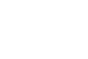 GLT Bird logo
